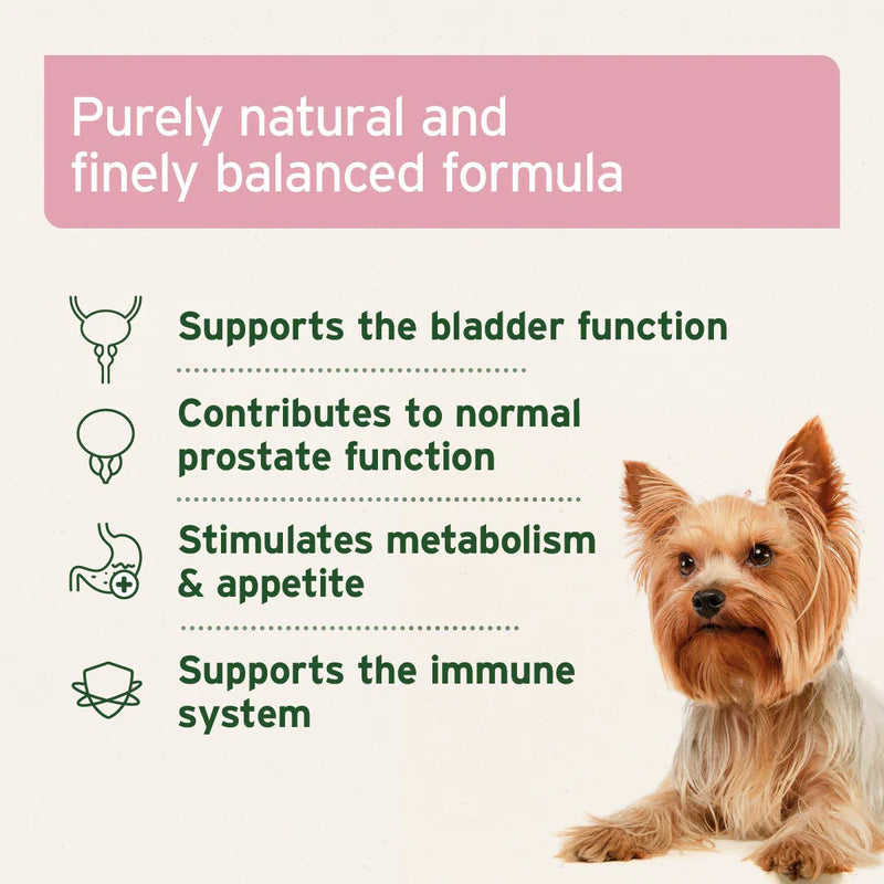 AniForte Bladder Formula for Dogs | Natural Urinary & Bladder Support Supplement
