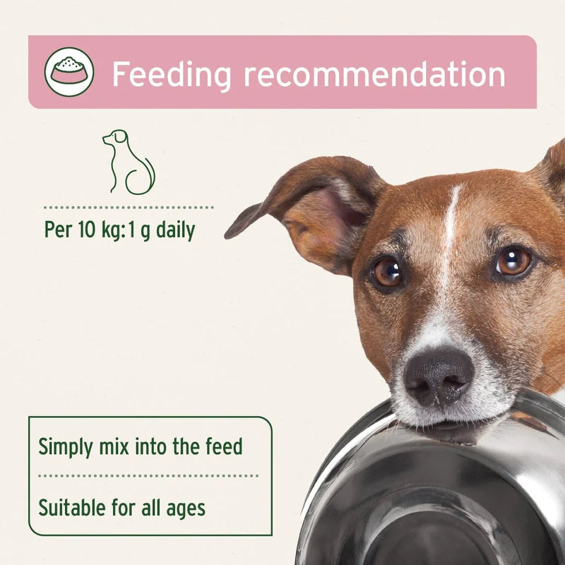 AniForte Bladder Formula for Dogs - feeding recommendations