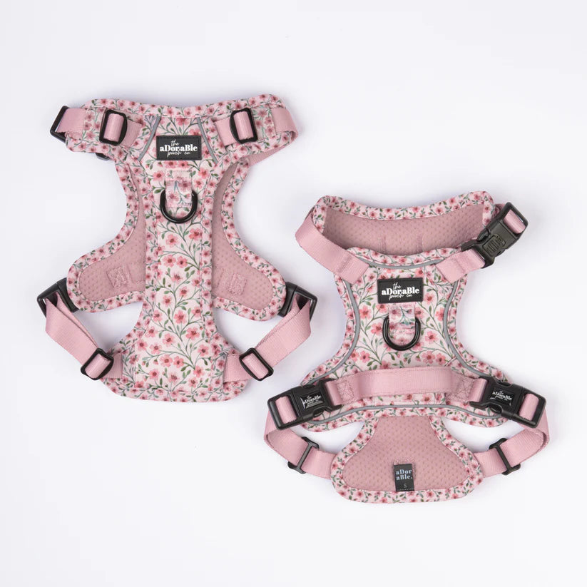 aDoraBle Pooch hike and go lite dog harness
