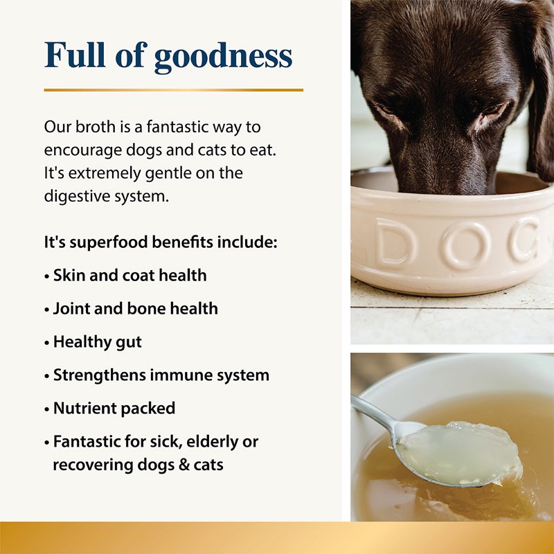 Dog drinking from a bowl with text about dog broth benefits on a white background