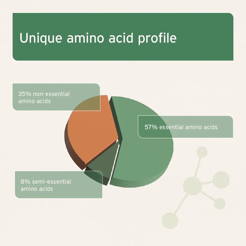 Pie chart showing amino acid profile Bovine Blood