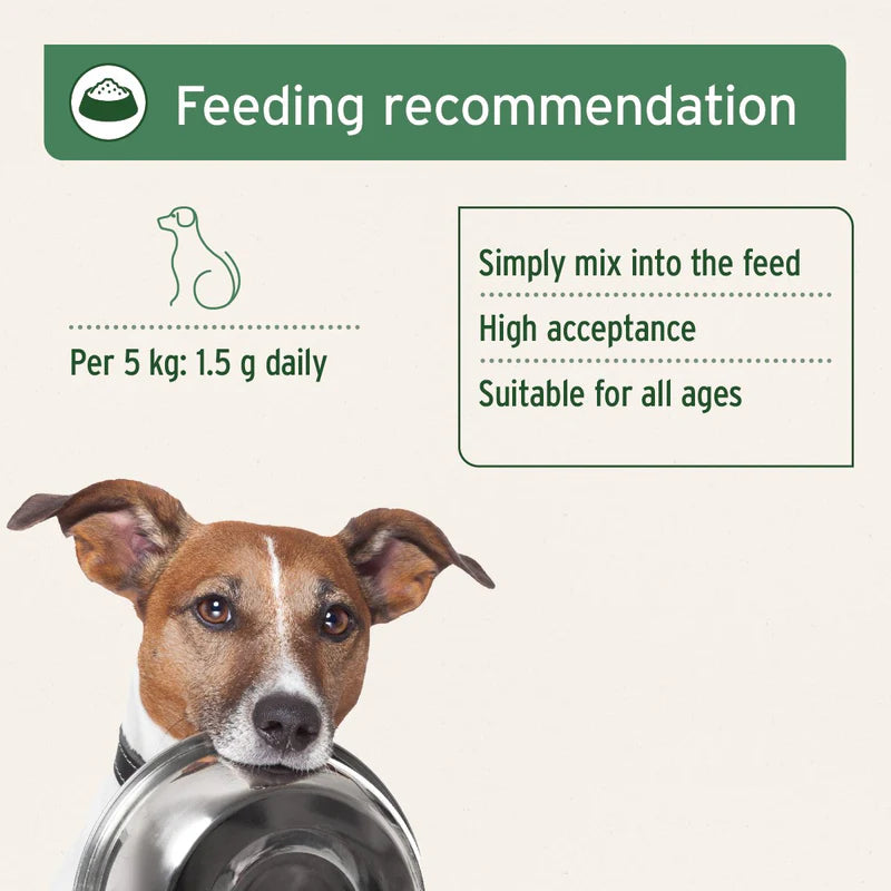 Dog holding a bowl with feeding recommendation text on a white background