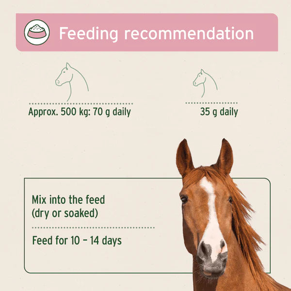 Aniforte bronchial herbs guidelines