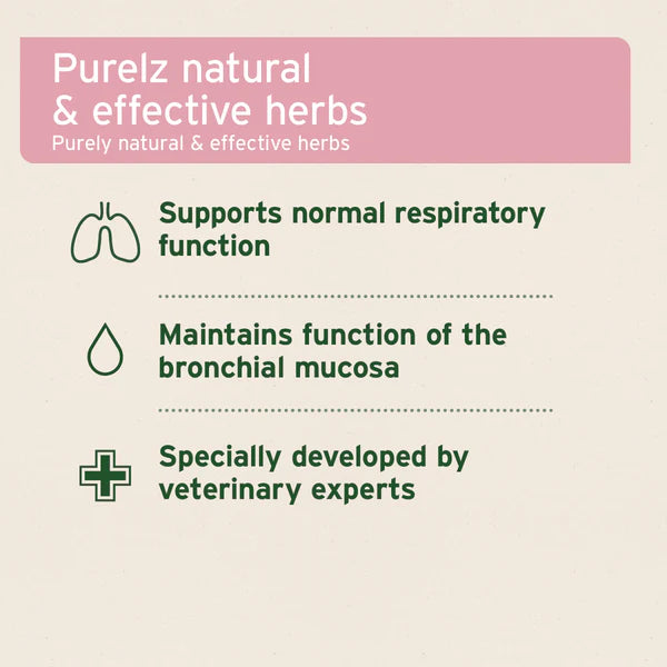 Aniforte bronchial herbs properties