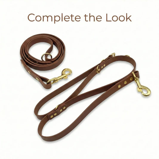 Dark Brown 38mm Waterproof Biothane Dog Collar and Matching Lead