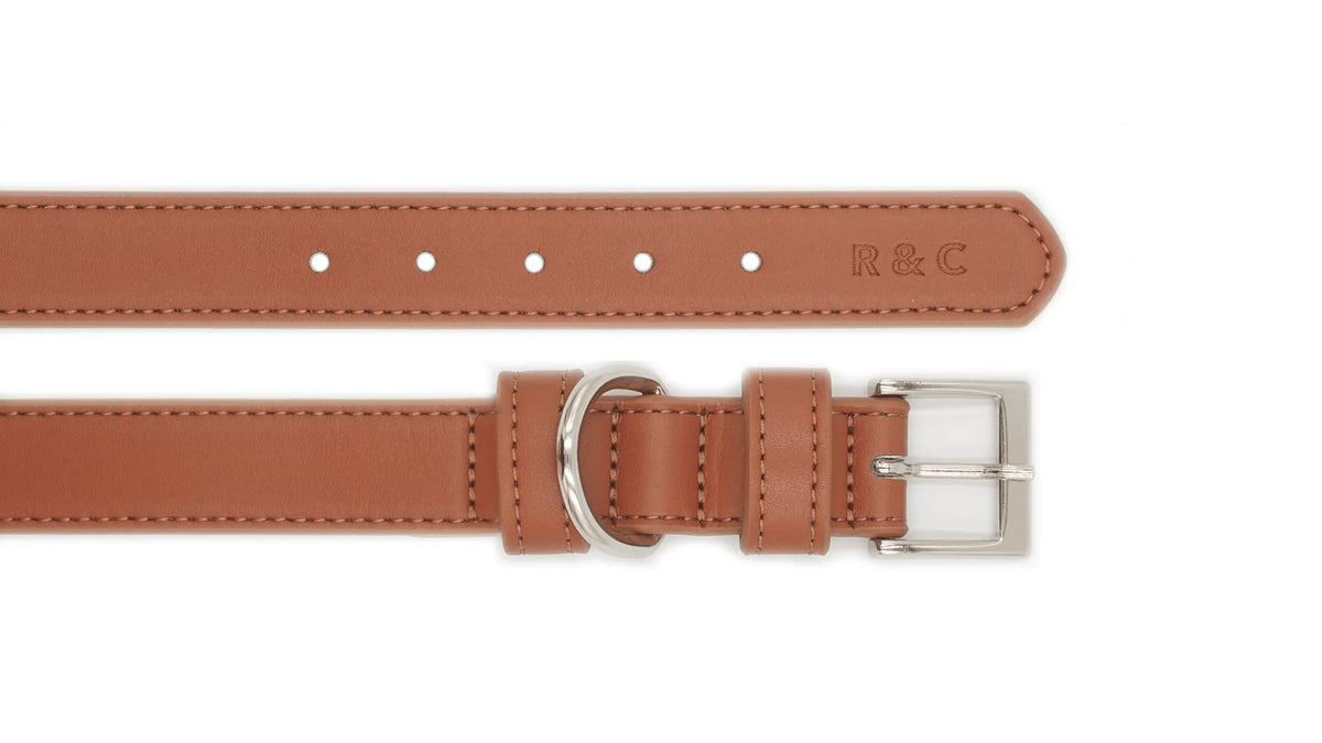 Brown leather Collar with silver buckle on a white background