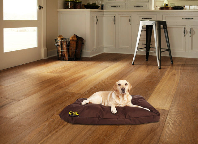 Dog doza waterproof cushion bed Brown