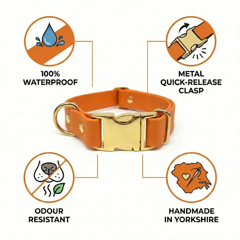 Waterproof, Odour Resistant Dog Collars, Made in the UK