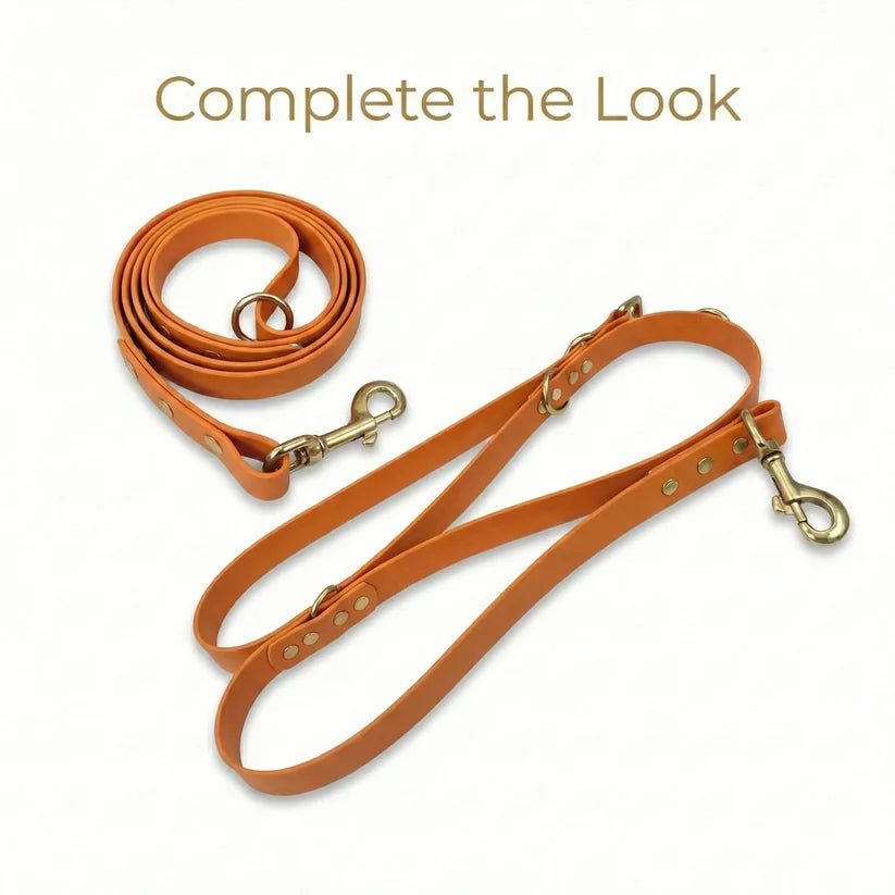 Burnt Orange 38mm Waterproof Biothane Giant Dog Collar Collection