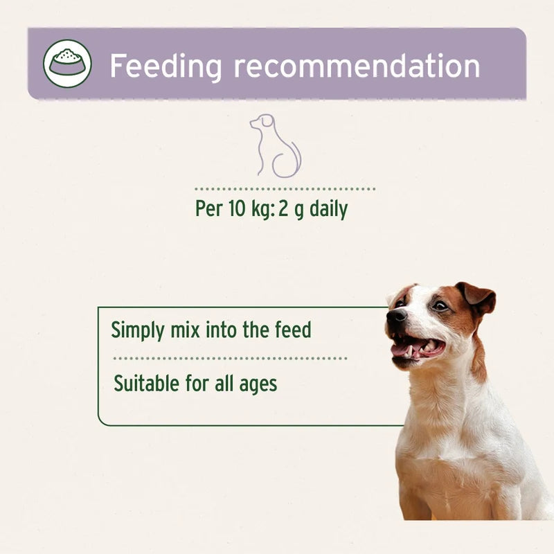 Natural Calm & Relax Powder for Dogs | AniForte - Feeing Guidelines