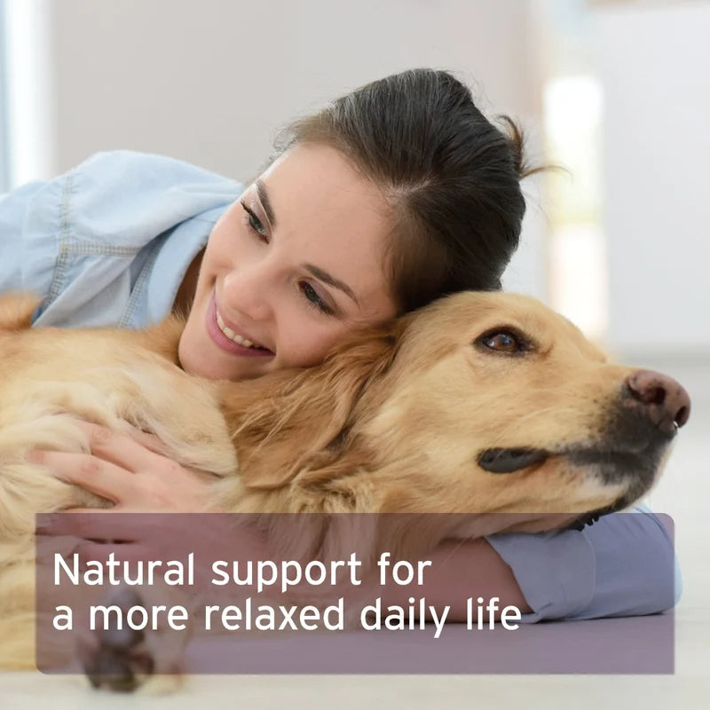 Natural Calm & Relax Powder for Dogs for a relaxed daily life