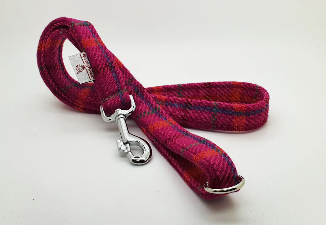 Cerise Check dog lead