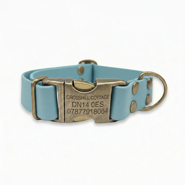 biothane duck egg blue waterproof dog collar engraving