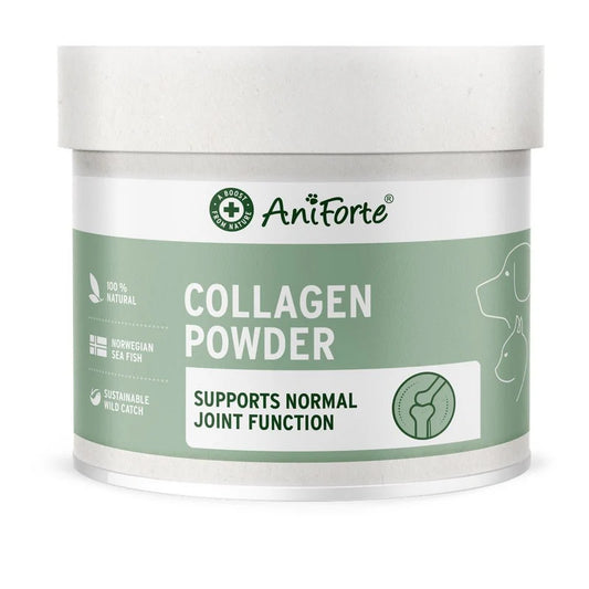 Aniforte collagen powder