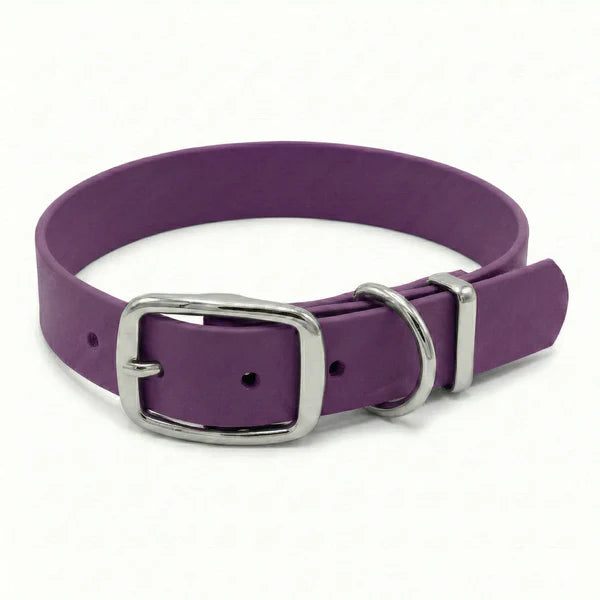 Waterproof biothane grape buckle collar
