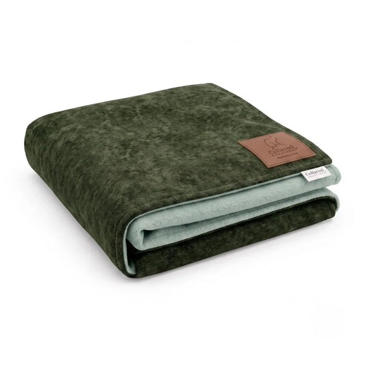 Luxury Dog Blanket Braga Moss | Washable Recycled Fleece