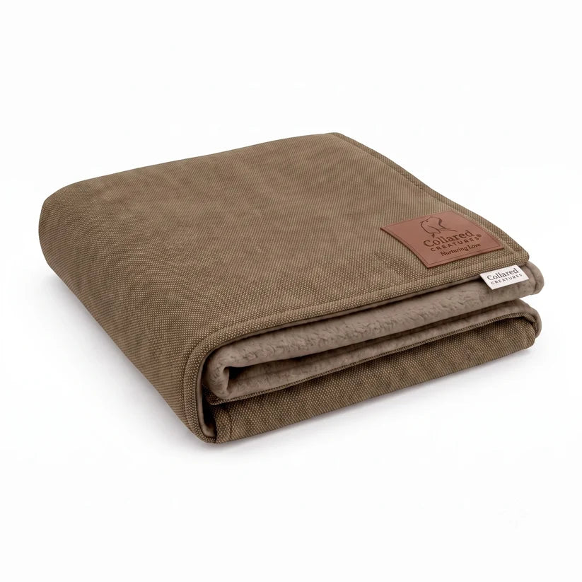 Luxury Dog Blanket Monaco Paddle | Washable Chenille Fleece