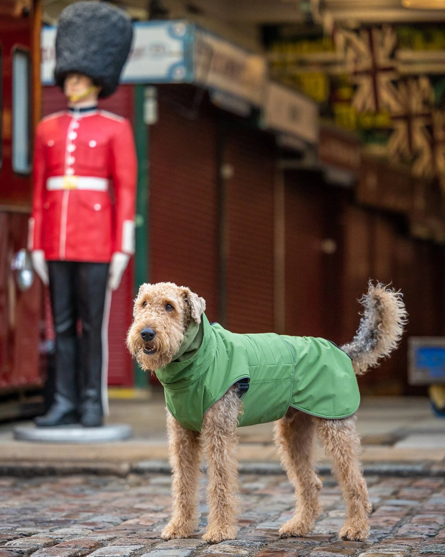 Collared Creatures Green Waterproof Dog Coat