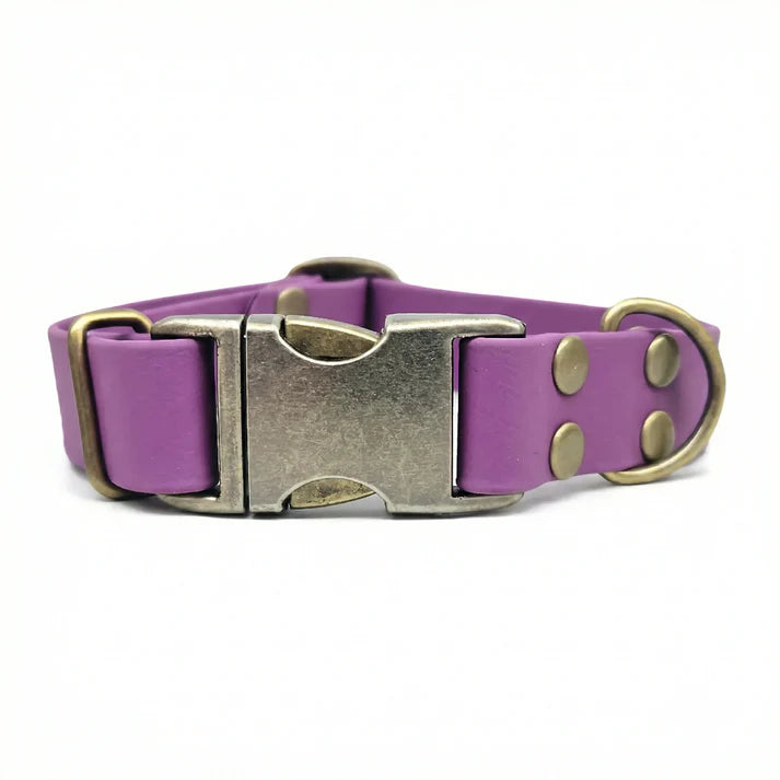 Waterproof biothane grape dog clasp collar