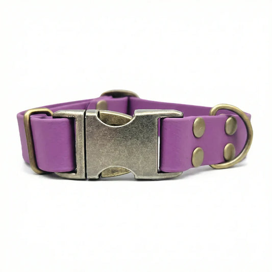 Waterproof biothane grape dog clasp collar