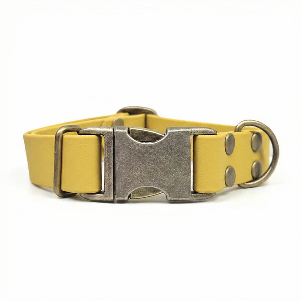 Waterproof biothane mustard clasp collar