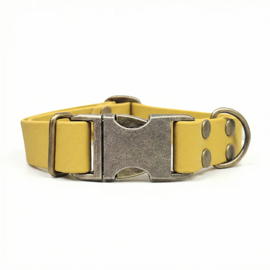 Waterproof biothane mustard clasp collar