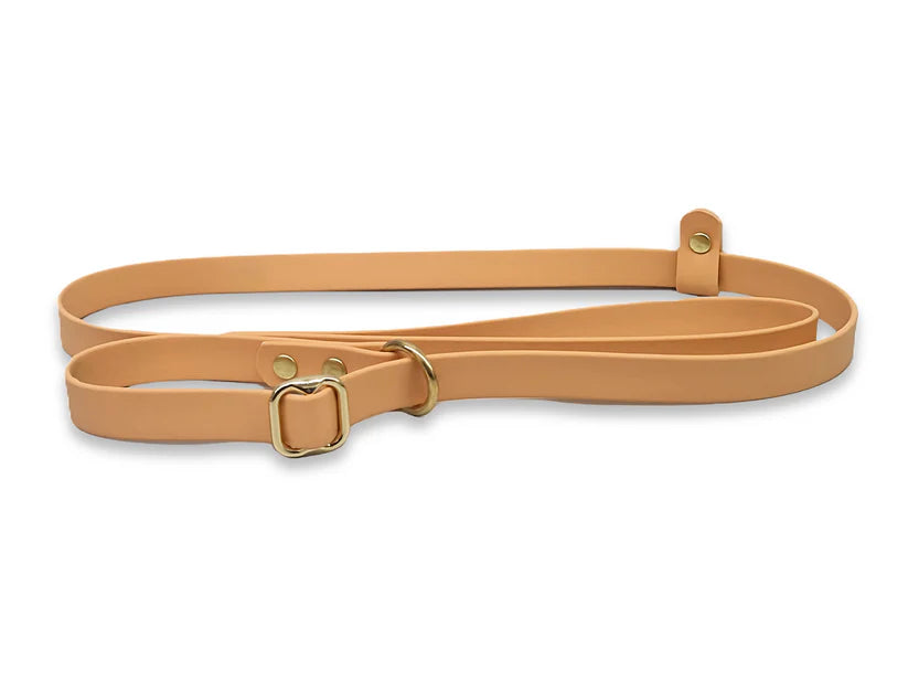 Waterproof Biothane Slip Lead Copper
