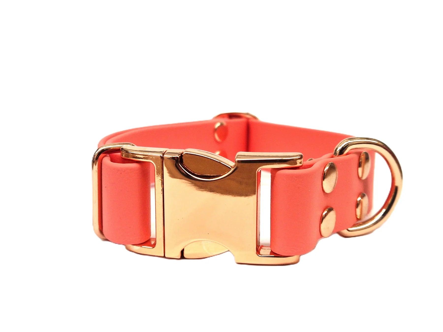 Coral Waterproof Metal Clasp Dog Collar