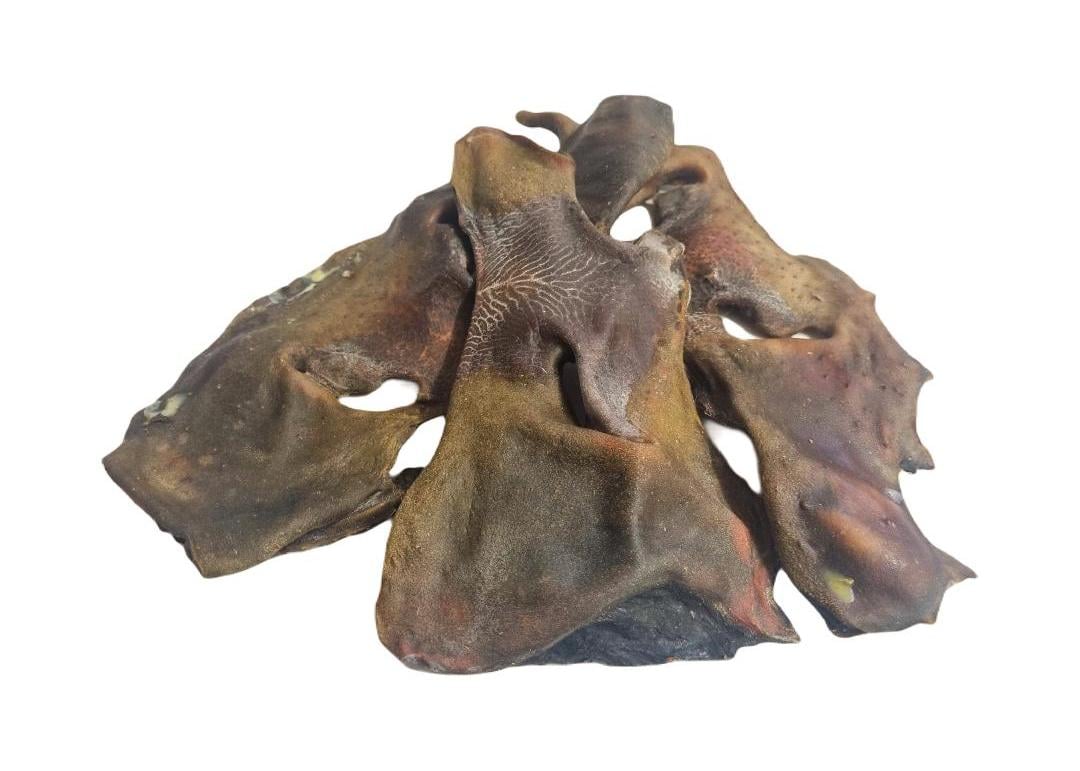 Natural Cow Nose Dog Treats