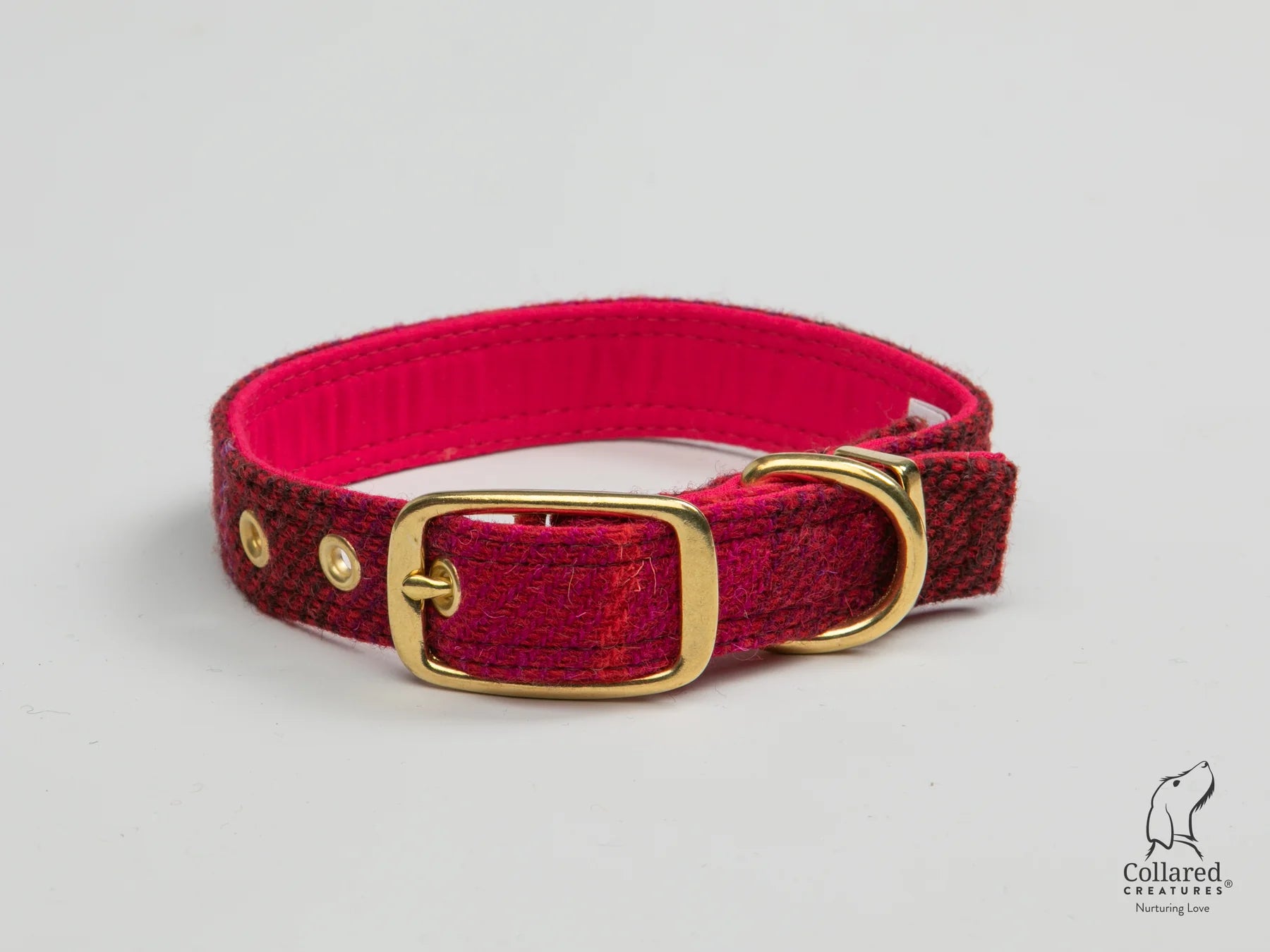 Harris Tweed deep Fuschia Buckle collar