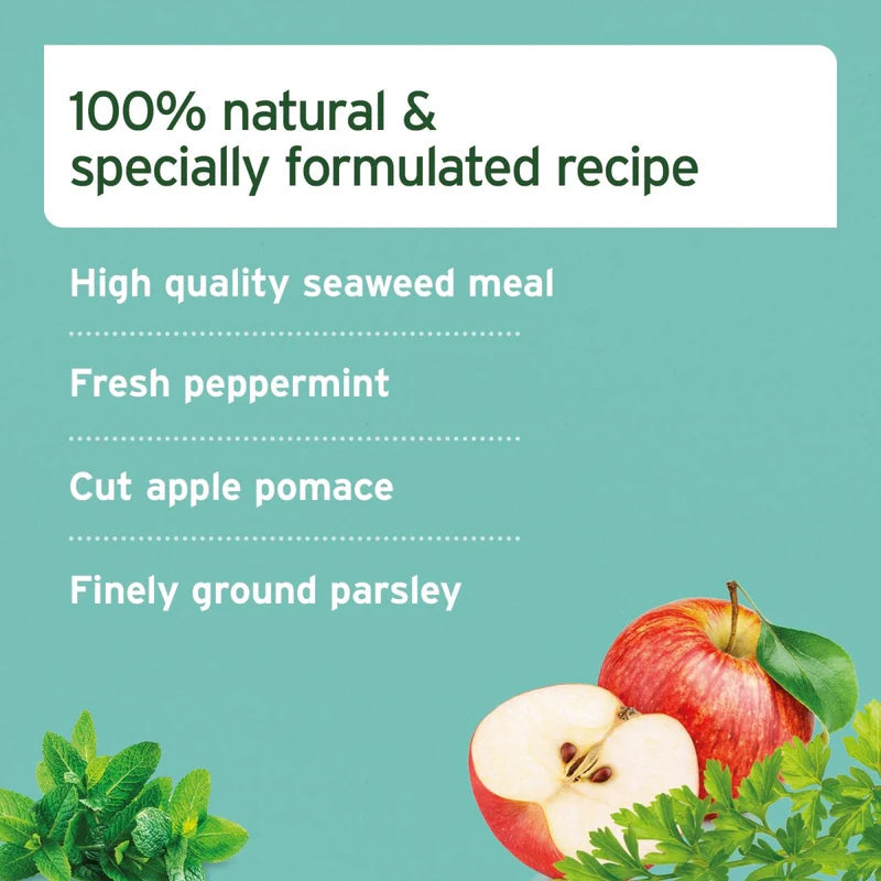 Aniforte dental powder blend