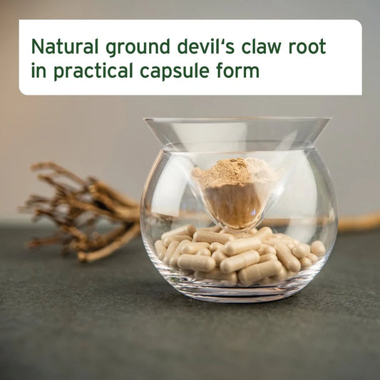 Devils claw benefits for cats and dogs