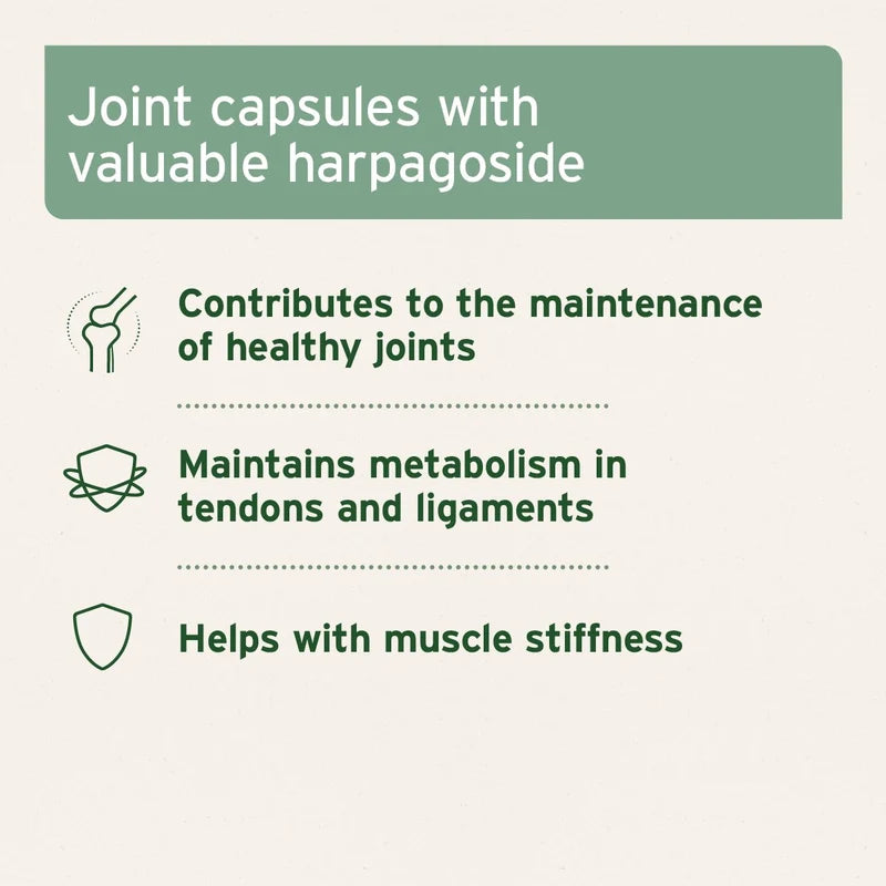 AniForte Devil’s Claw Root 100 Capsules for Dogs & Cats | Joint & Mobility Support Joint Muscle Benefits