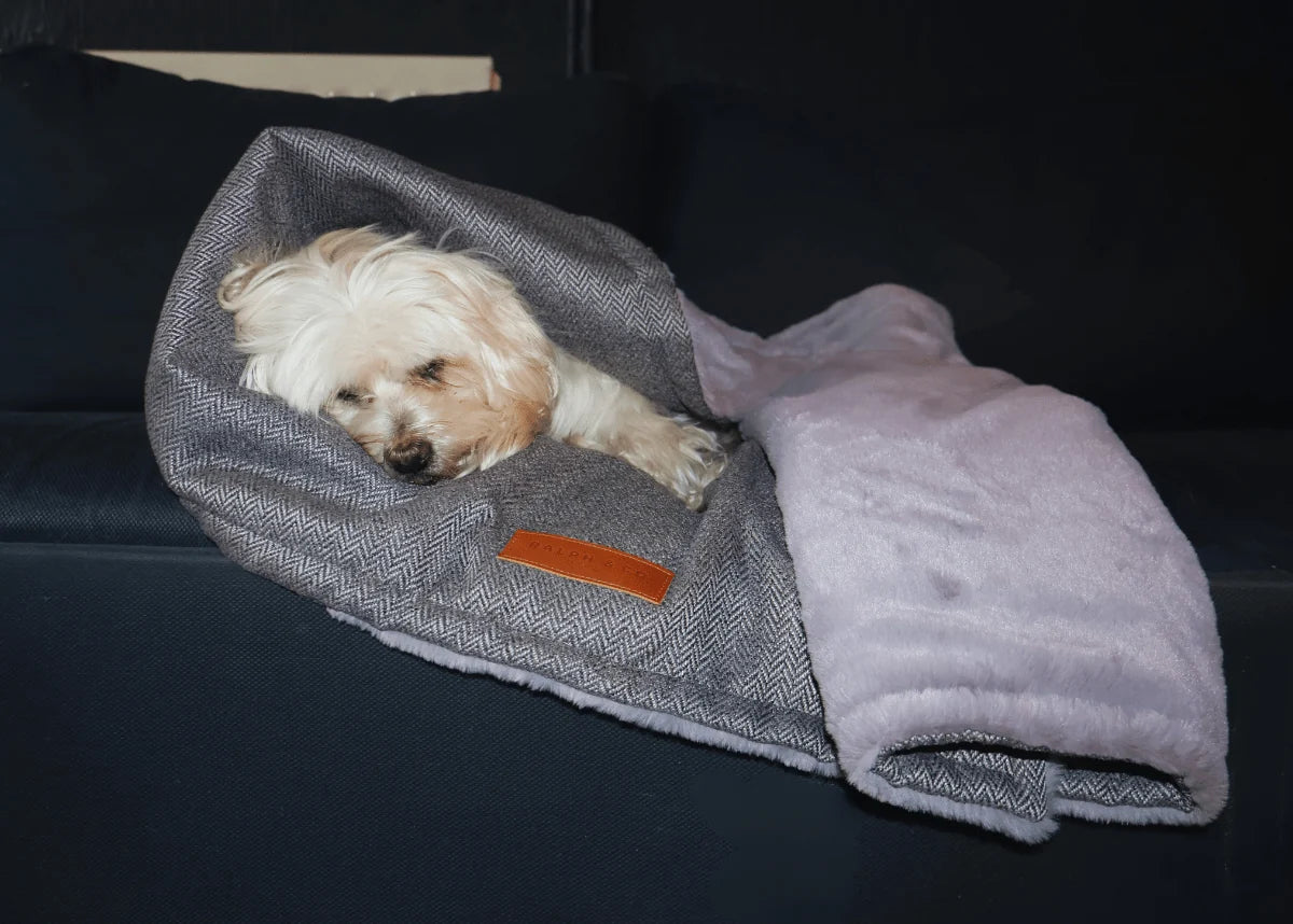 Little dog wrapped in a Ralph & Co Balmoral Grey Tweed Dog Blanket with Reversible Faux Fur Lining