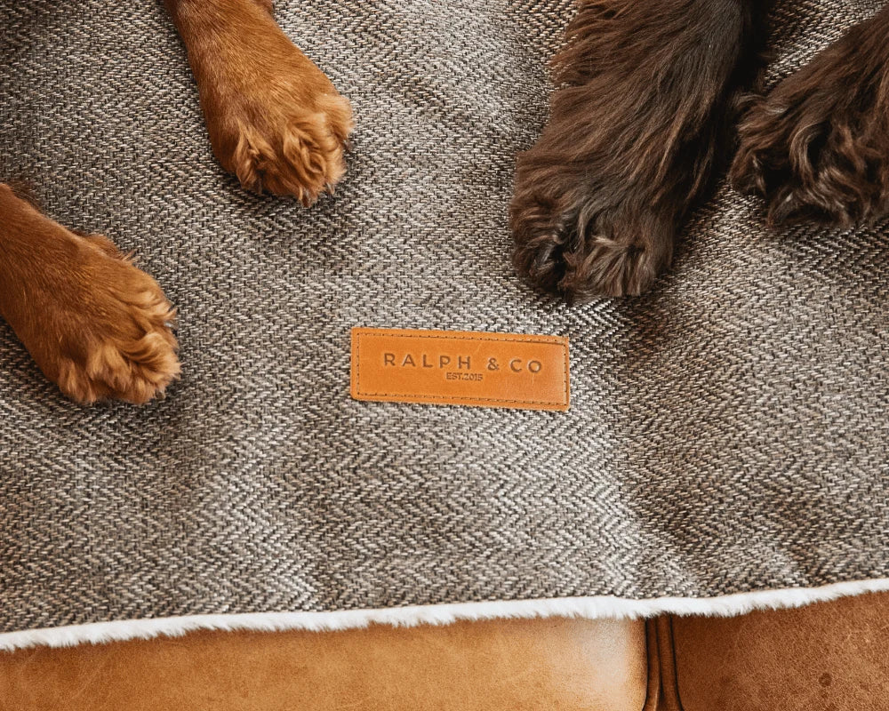 Dog paws on a textured blanket with a Ralph & Co label.