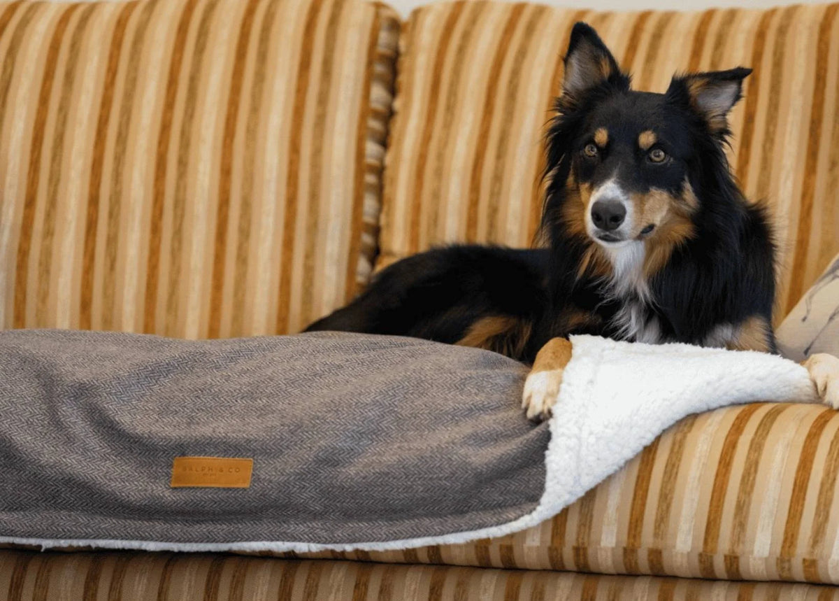 Ralph & Co Lincoln Luxury Tweed Dog Blanket, Reversible Faux Fur with Collie Dog