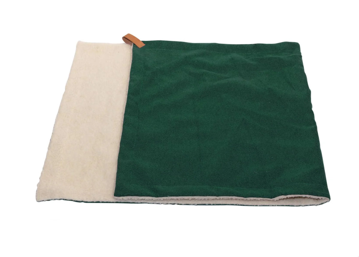 Ralph & Co Richmond Green Dog Blanket | Reversible Sherpa & Washable