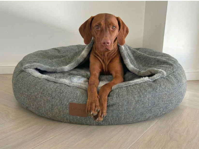 Collared Creatures Classic Cocoon Bed Grey with grey faux fur lining