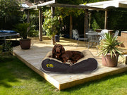 Dog Doza Waterproof Box Border Dog Bed Beige