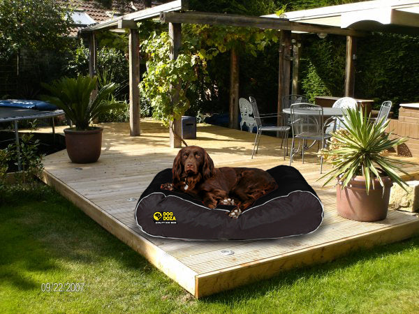 Doza Waterproof Active Box Border Dog Bed Black