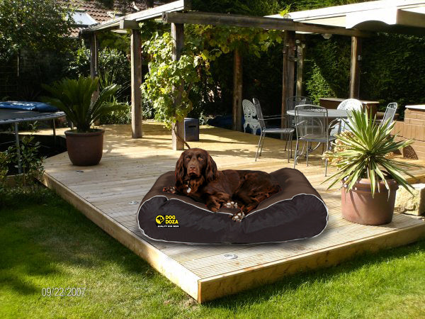 Dog Doza Waterproof Box Border Dog Bed Brown 