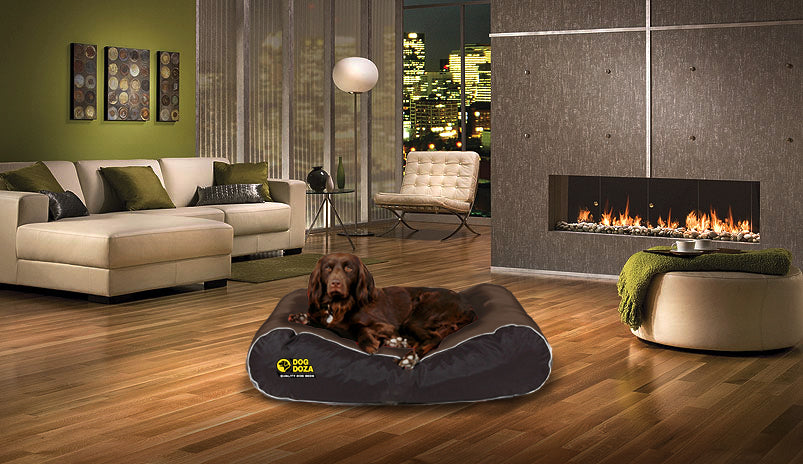 Active Waterproof Box Border Dog Bed 