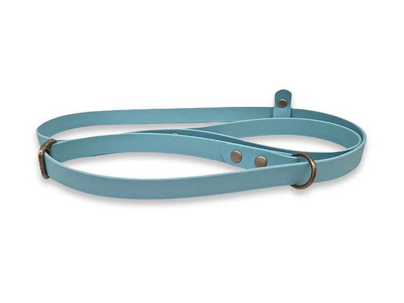 Duck egg blue waterproof biothane slip lead