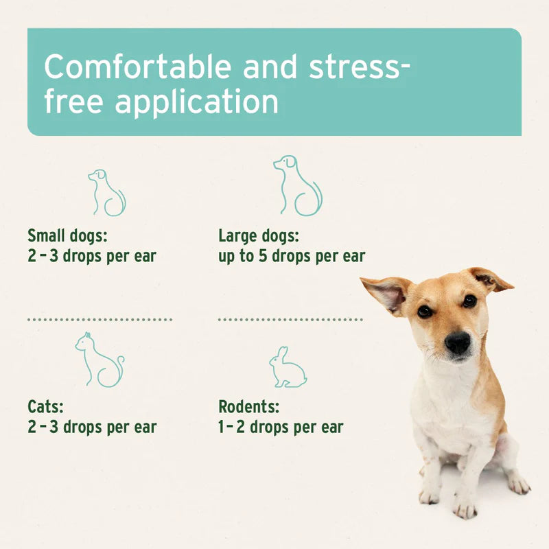 Aniforte ear mite oil guidelines