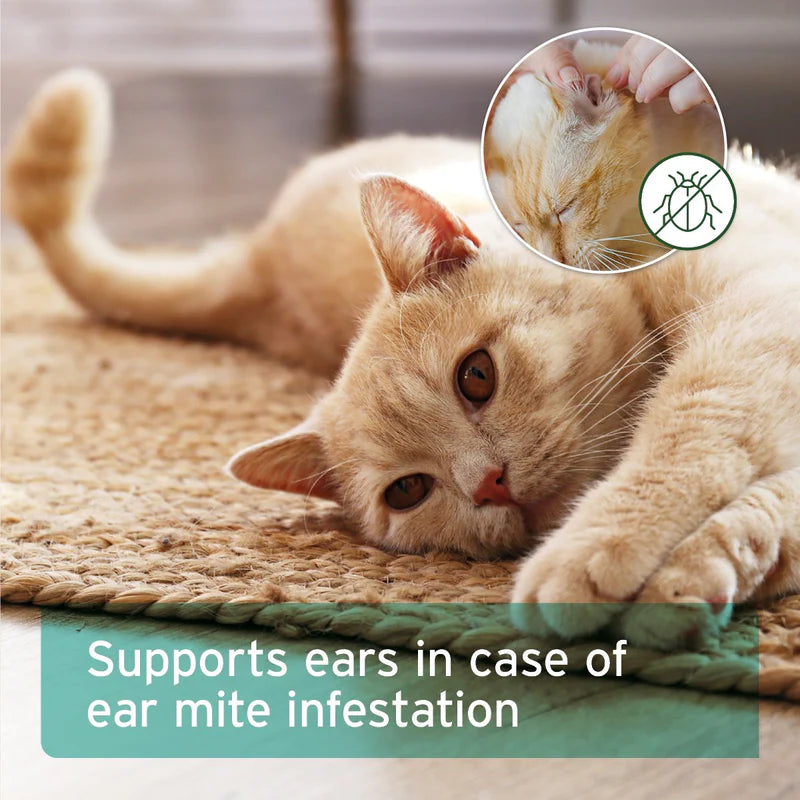Cat ear mite treatment