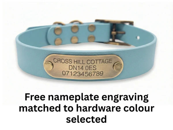 Waterproof biothane duck egg blue buckle collar engraving