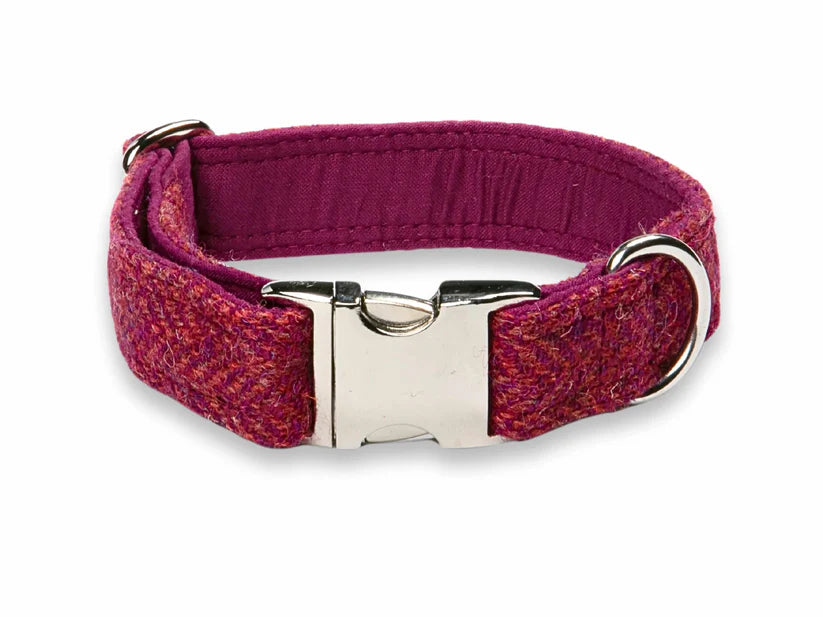 Harris Tweed Raspberry &amp; Coral — Extra Wide 38mm Luxury Dog Collar