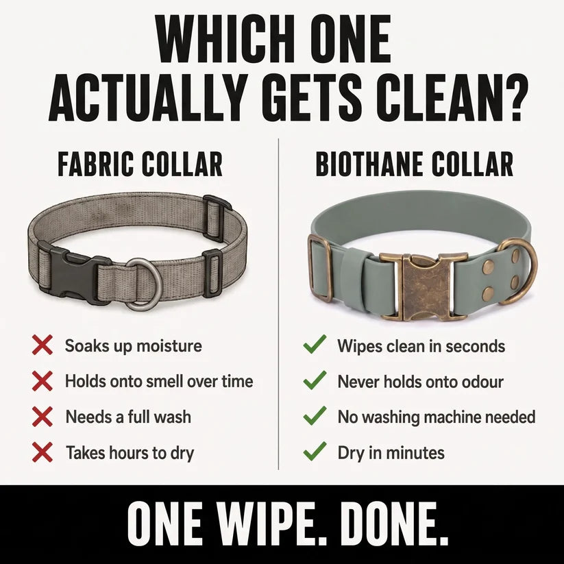 Easy Clean Dog Collars