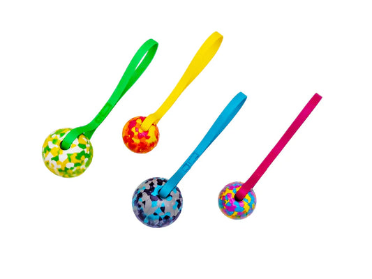 Dog tug and fetch toy with a biothane handle and rubber ball 