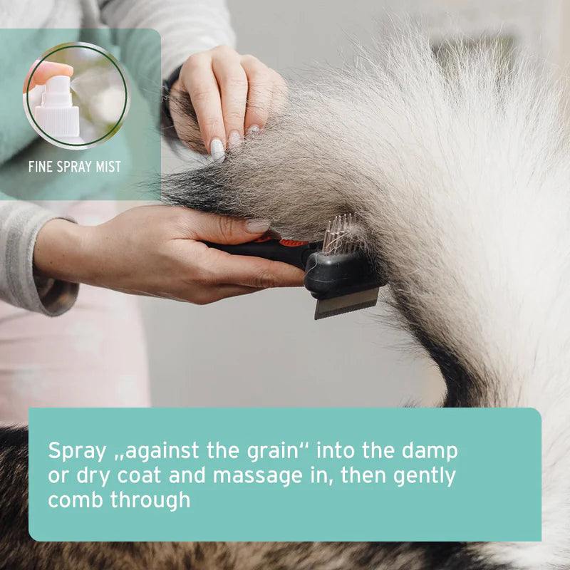 Person grooming a dog with a brush, using a spray mist labelled 'Fine Spray Mist'. Detangling Coat Spray 